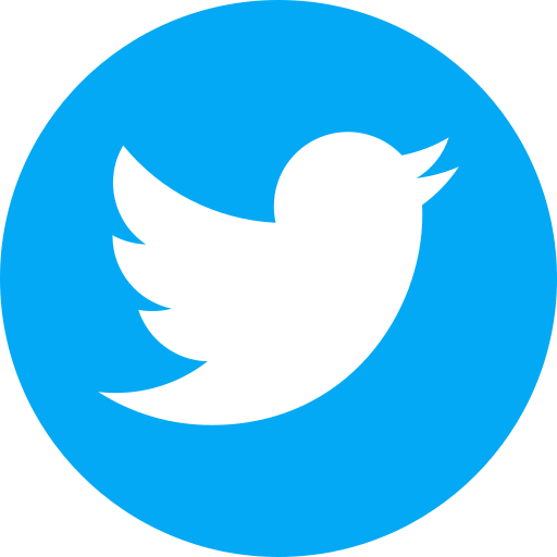 Twitter social share icon